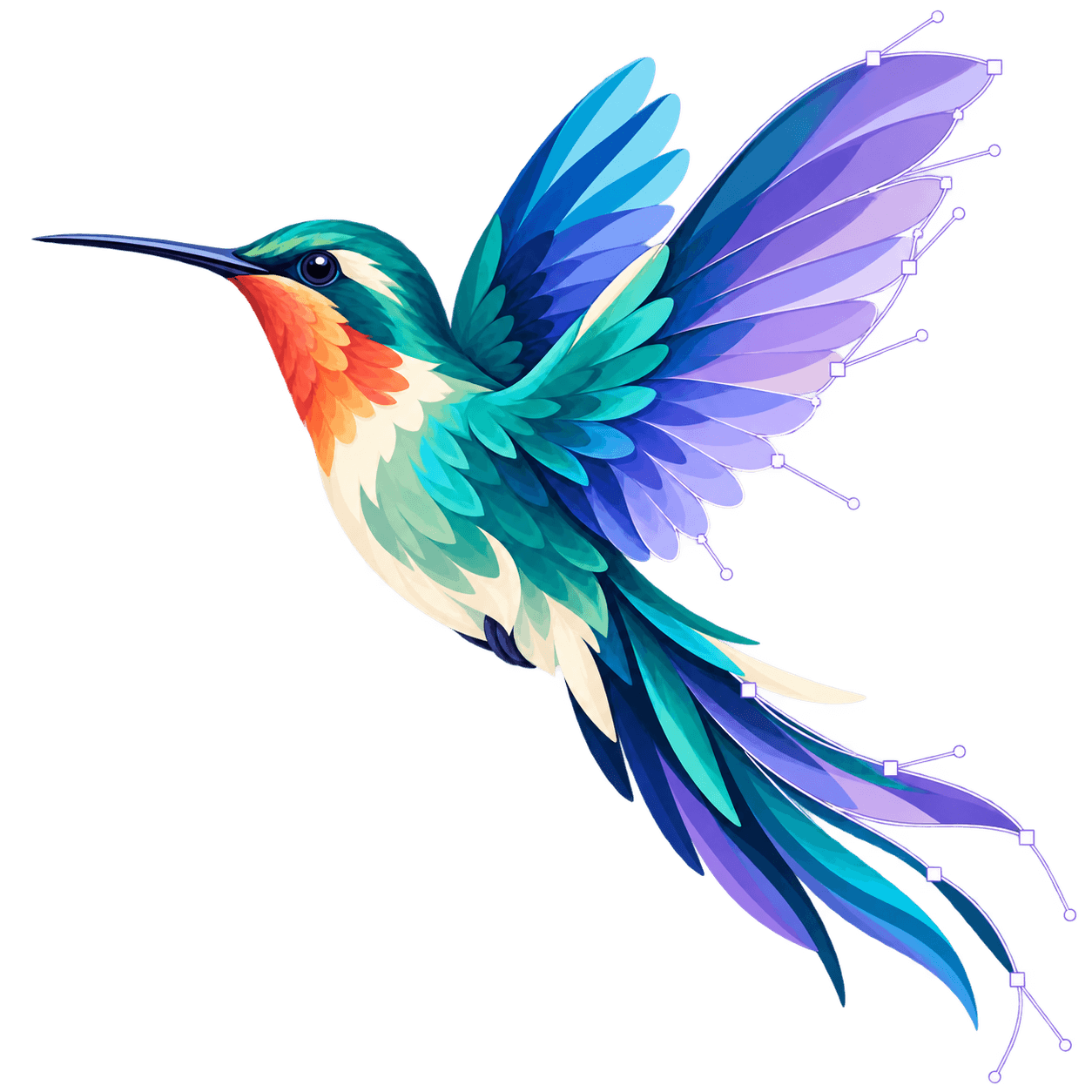 Ilustração de um beija-flor colorido com curvas de Bézier e pontos de controle representando contornos vetoriais.